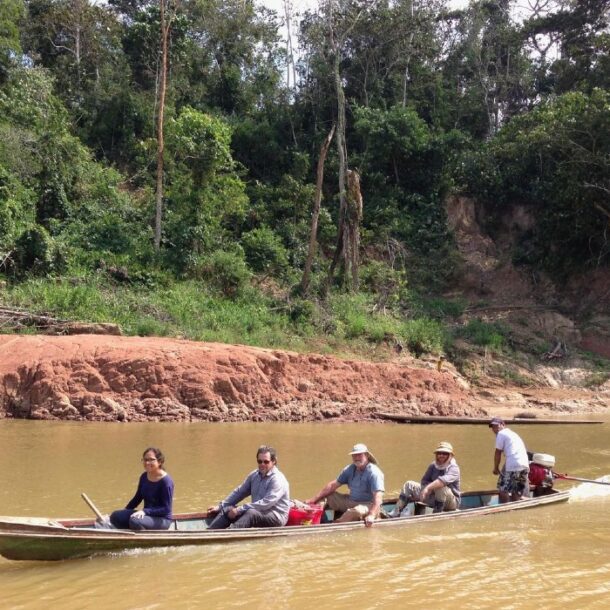 monkeys from africa to peru study