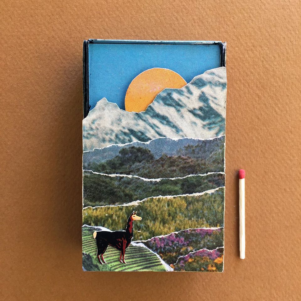 Llama box of matches