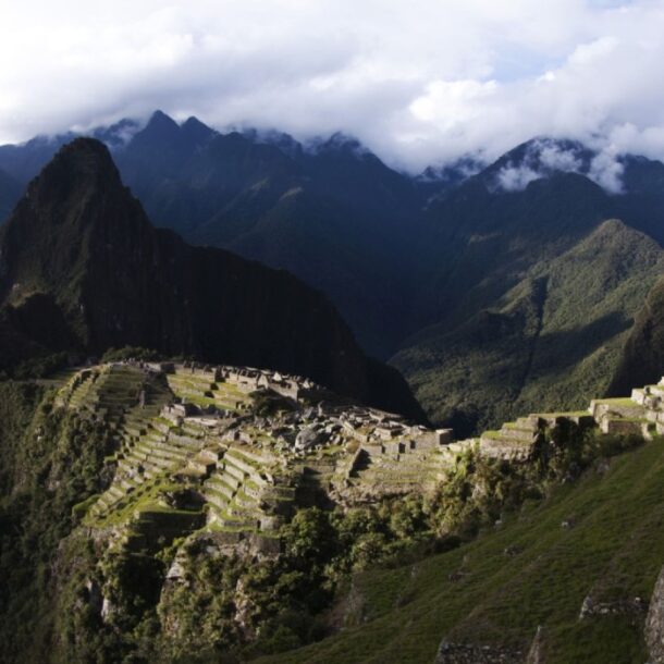 machu picchu native rodent