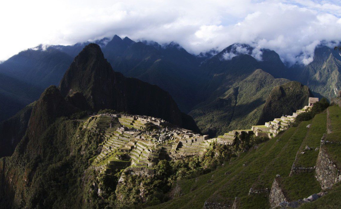 machu picchu native rodent