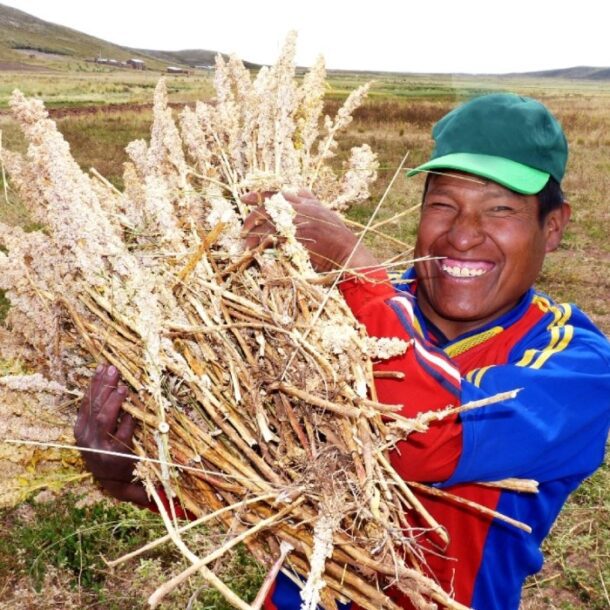 Andean grains seeds beans