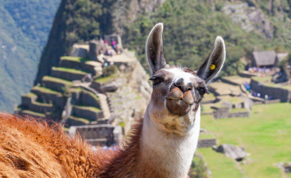 Experience Peru from your home