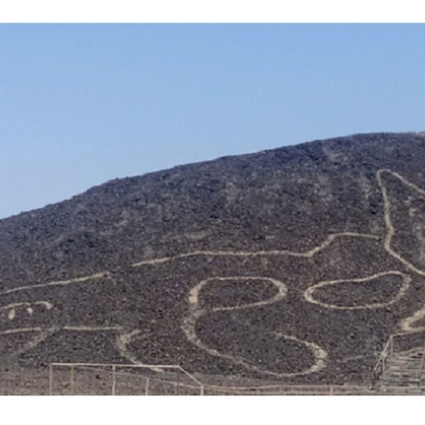 New Feline Nazca Lines