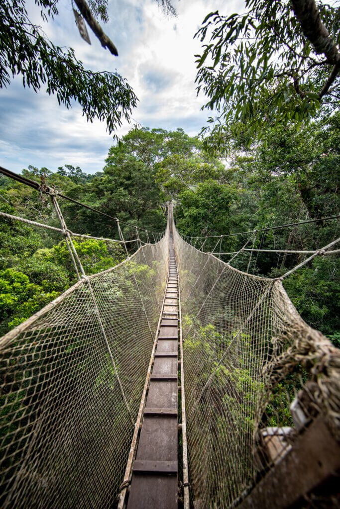 Peru newsletter