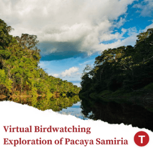 Virtual Birdwatching Pacaya Samiria