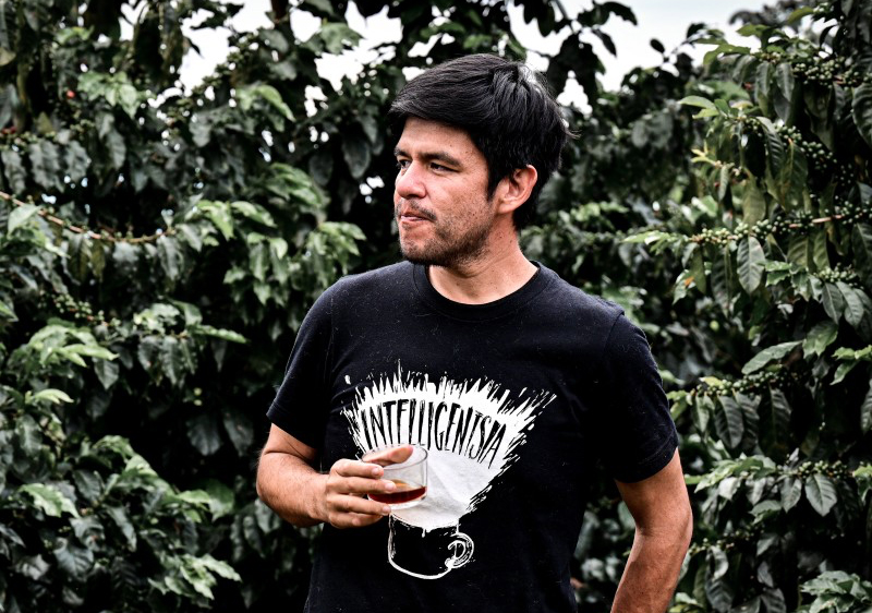 Pepe caturra
