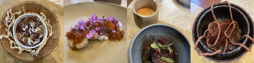 fifth to eight courses from Kjolle Menu | Photos by Daniel Quintero