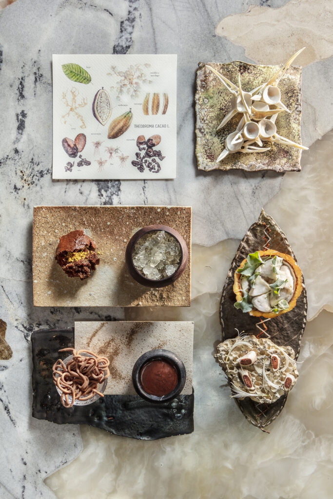 Theobroma Photo by Gustavo Vivanco