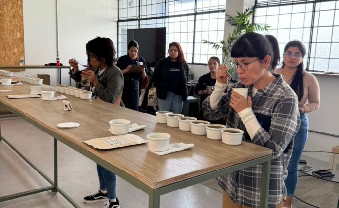 Lima-ThirdEdition-Cupping