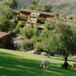 Rio Sagrado: A Two-Year Journey Toward Wellness in the Sacred Valley