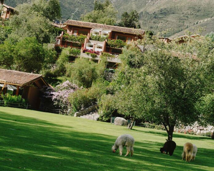 rio sagrado banner